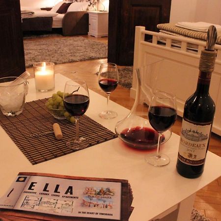 Ella Apartment Timisoara No9 Εξωτερικό φωτογραφία