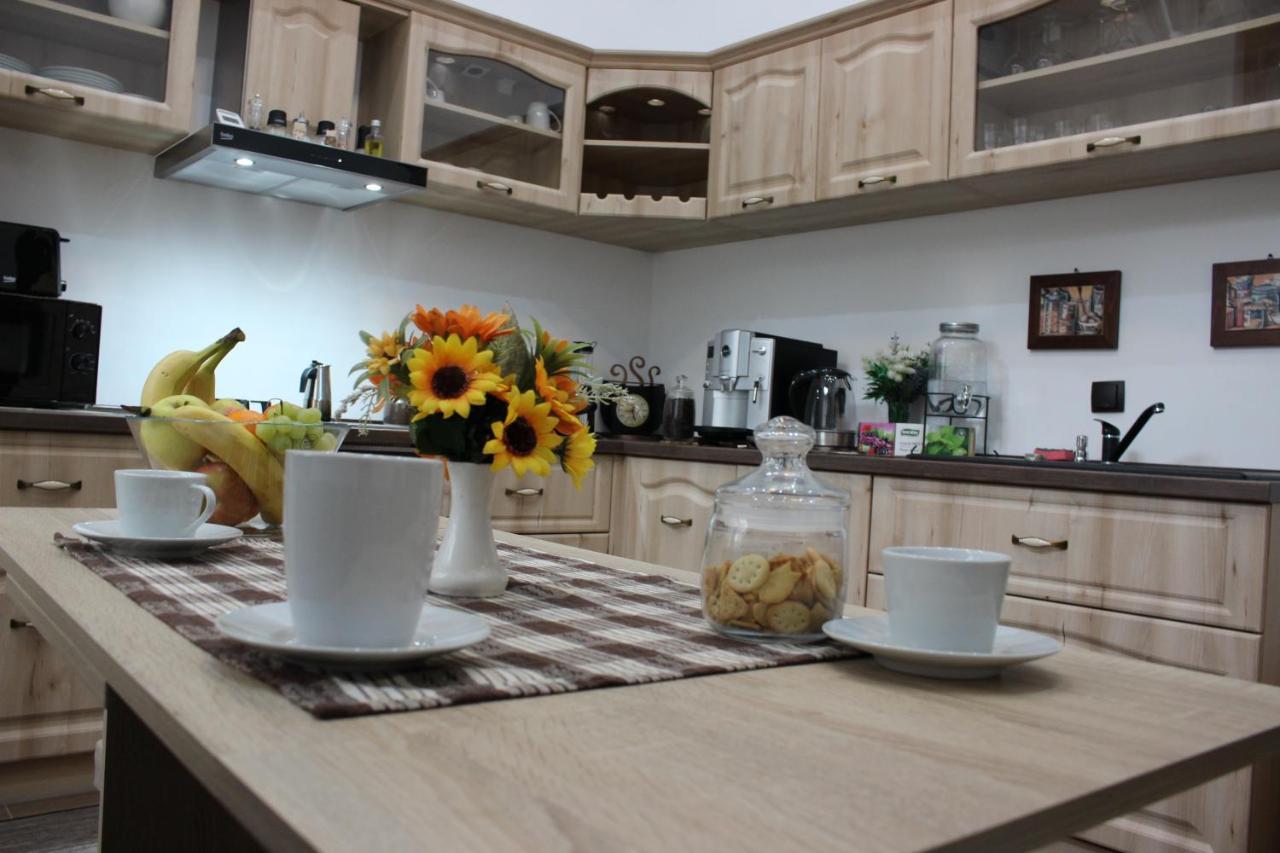 Ella Apartment Timisoara No9 Εξωτερικό φωτογραφία