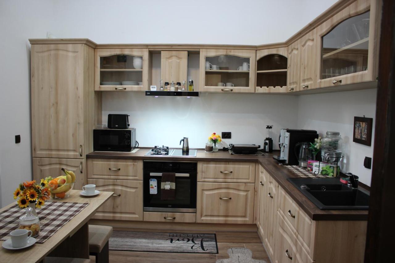 Ella Apartment Timisoara No9 Εξωτερικό φωτογραφία