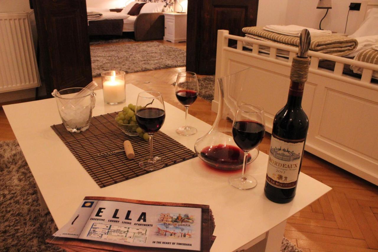 Ella Apartment Timisoara No9 Εξωτερικό φωτογραφία
